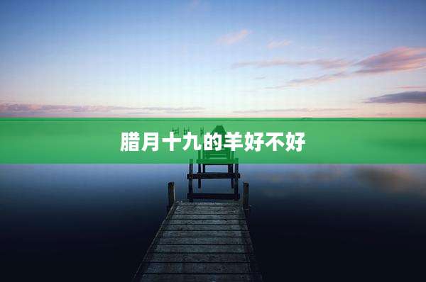 腊月十九的羊好不好