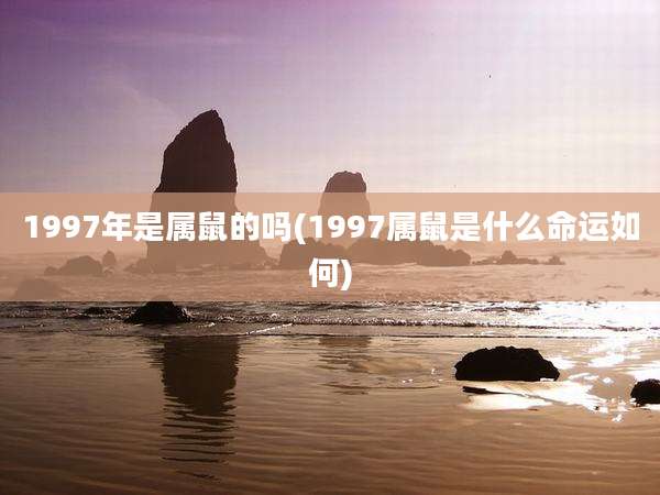 1997年是属鼠的吗(1997属鼠是什么命运如何)