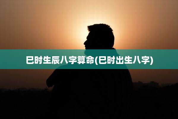巳时生辰八字算命(巳时出生八字)