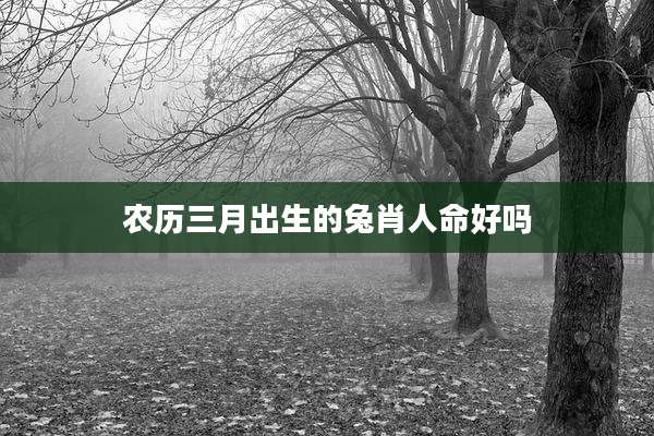 农历三月出生的兔肖人命好吗
