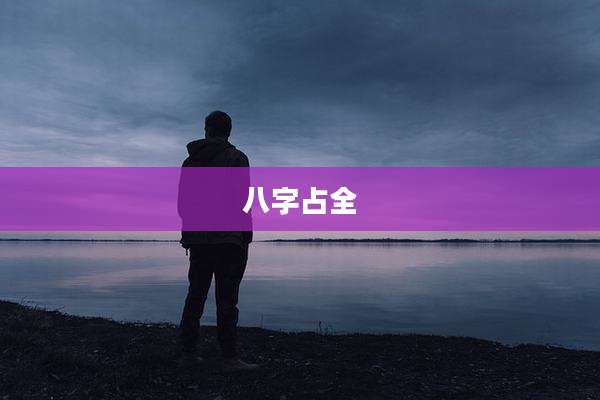 八字占全