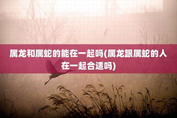 属龙和属蛇的能在一起吗(属龙跟属蛇的人在一起合适吗)
