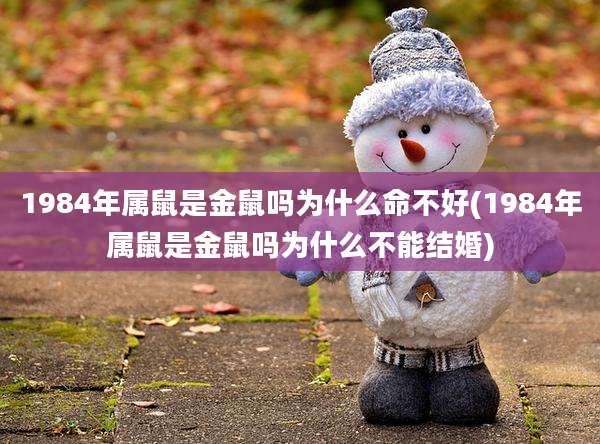 1984年属鼠是金鼠吗为什么命不好(1984年属鼠是金鼠吗为什么不能结婚)