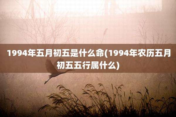 1994年五月初五是什么命(1994年农历五月初五五行属什么)