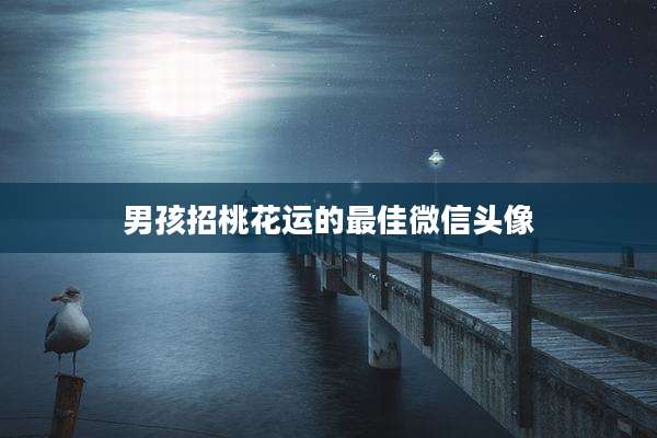 男孩招桃花运的最佳微信头像