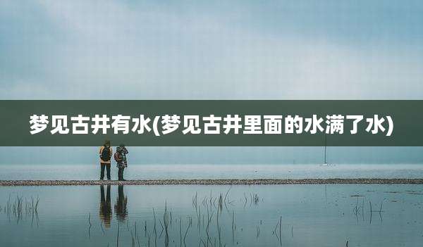 梦见古井有水(梦见古井里面的水满了水)