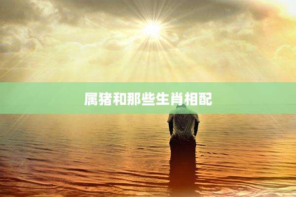 属猪和那些生肖相配
