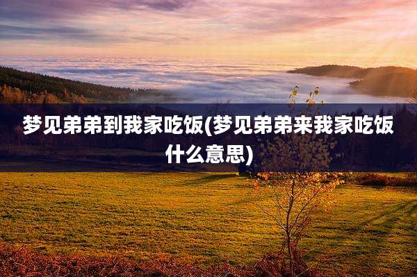 梦见弟弟到我家吃饭(梦见弟弟来我家吃饭什么意思)