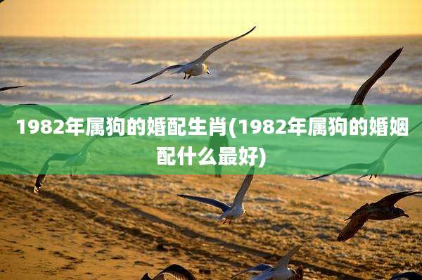 1982年属狗的婚配生肖(1982年属狗的婚姻配什么最好)