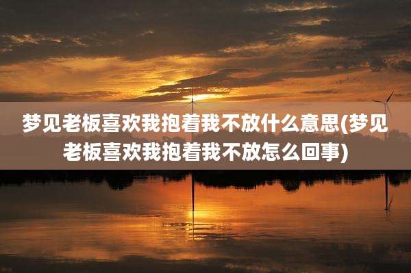 梦见老板喜欢我抱着我不放什么意思(梦见老板喜欢我抱着我不放怎么回事)