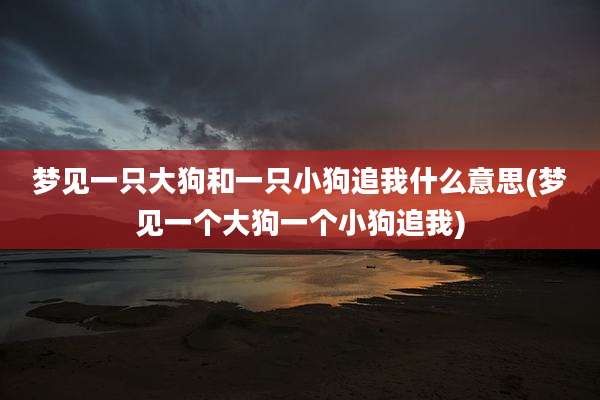 梦见一只大狗和一只小狗追我什么意思(梦见一个大狗一个小狗追我)