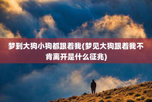 梦到大狗小狗都跟着我(梦见大狗跟着我不肯离开是什么征兆)