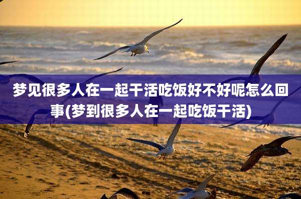 梦见很多人在一起干活吃饭好不好呢怎么回事(梦到很多人在一起吃饭干活)