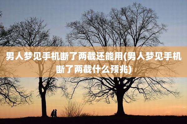 男人梦见手机断了两截还能用(男人梦见手机断了两截什么预兆)