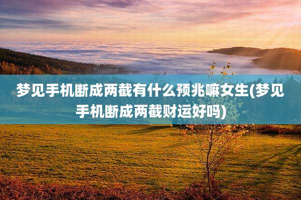 梦见手机断成两截有什么预兆嘛女生(梦见手机断成两截财运好吗)