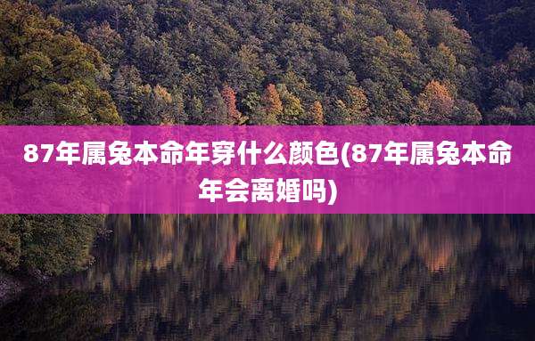 87年属兔本命年穿什么颜色(87年属兔本命年会离婚吗)