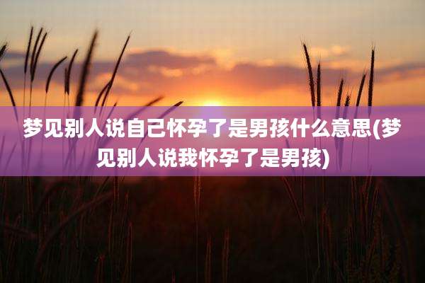 梦见别人说自己怀孕了是男孩什么意思(梦见别人说我怀孕了是男孩)
