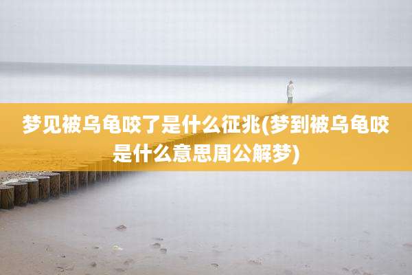 梦见被乌龟咬了是什么征兆(梦到被乌龟咬是什么意思周公解梦)