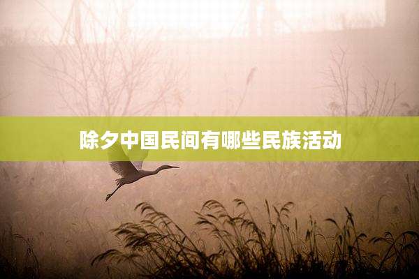除夕中国民间有哪些民族活动