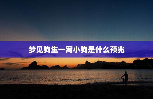 梦见狗生一窝小狗是什么预兆