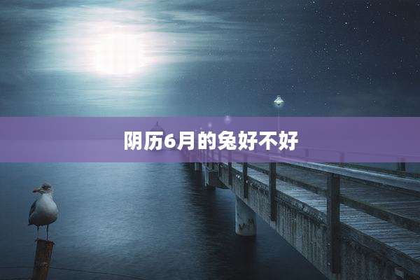 阴历6月的兔好不好