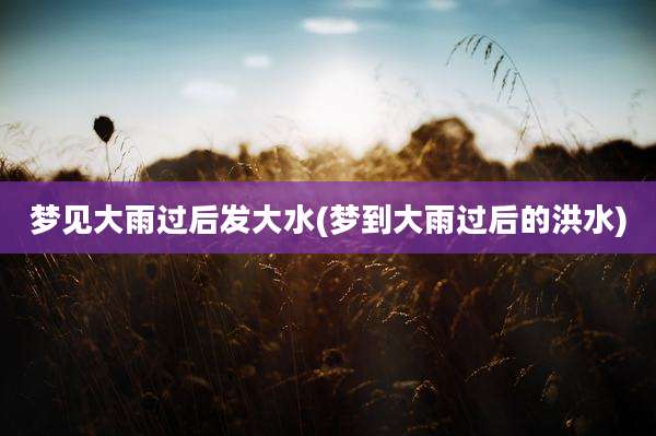 梦见大雨过后发大水(梦到大雨过后的洪水)