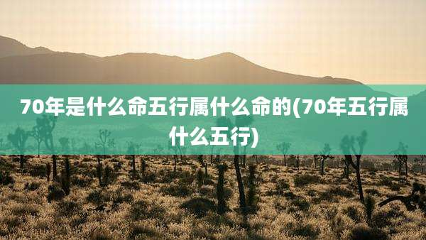 70年是什么命五行属什么命的(70年五行属什么五行)