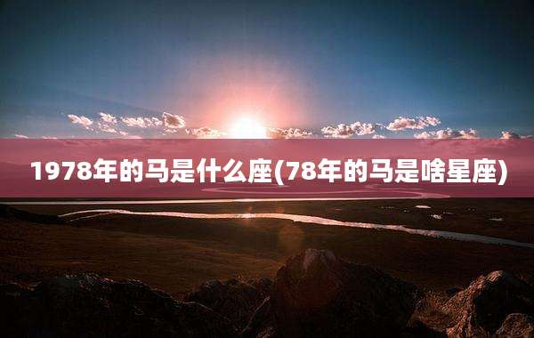 1978年的马是什么座(78年的马是啥星座)