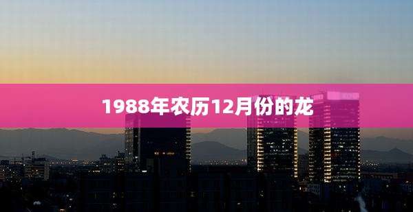 1988年农历12月份的龙