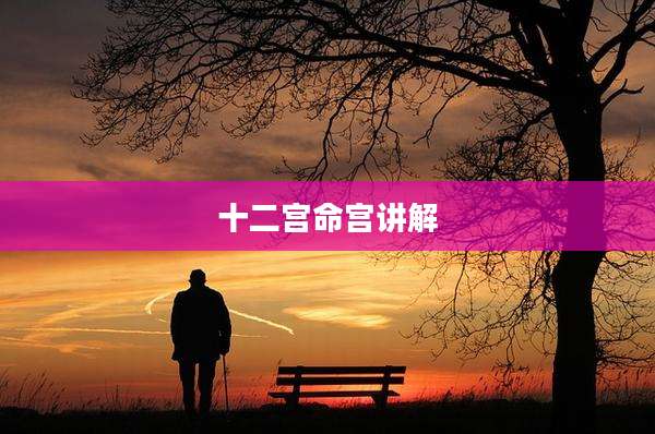 十二宫命宫讲解