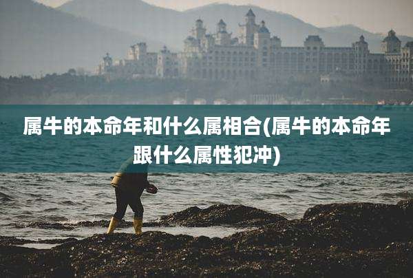 属牛的本命年和什么属相合(属牛的本命年跟什么属性犯冲)