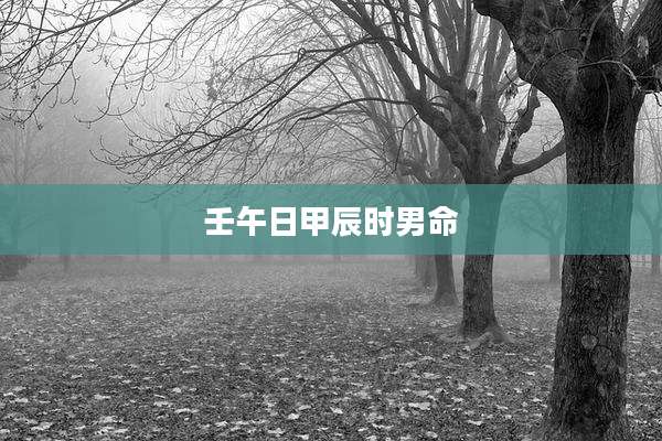 壬午日甲辰时男命