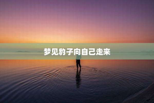 梦见豹子向自己走来