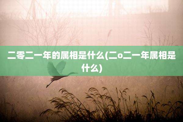 二零二一年的属相是什么(二o二一年属相是什么)