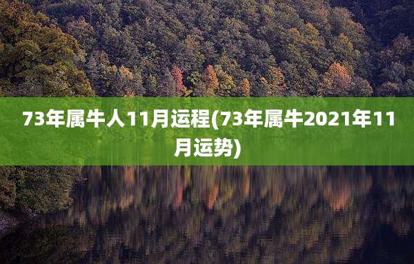 73年属牛人11月运程(73年属牛2021年11月运势)