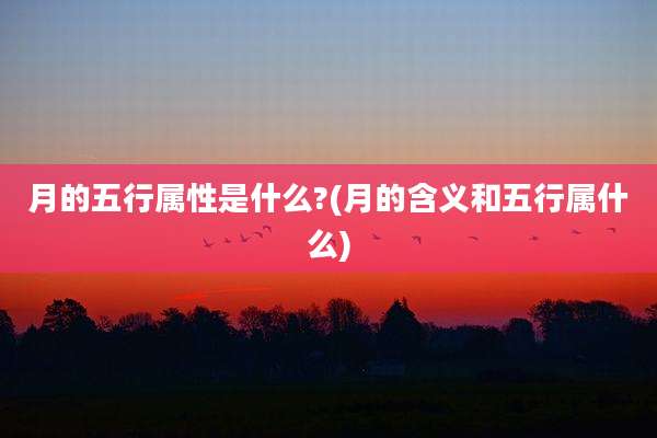 月的五行属性是什么?(月的含义和五行属什么)