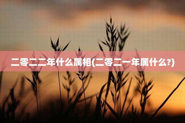 二零二二年什么属相(二零二一年属什么?)
