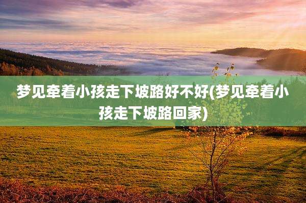 梦见牵着小孩走下坡路好不好(梦见牵着小孩走下坡路回家)