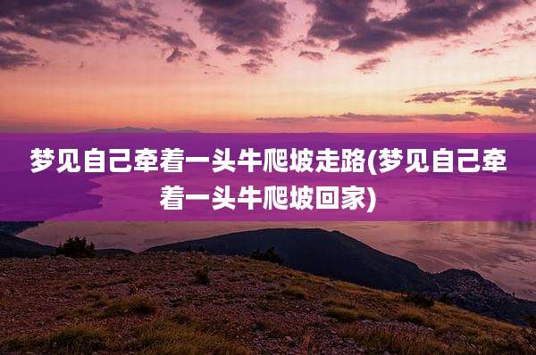 梦见自己牵着一头牛爬坡走路(梦见自己牵着一头牛爬坡回家)