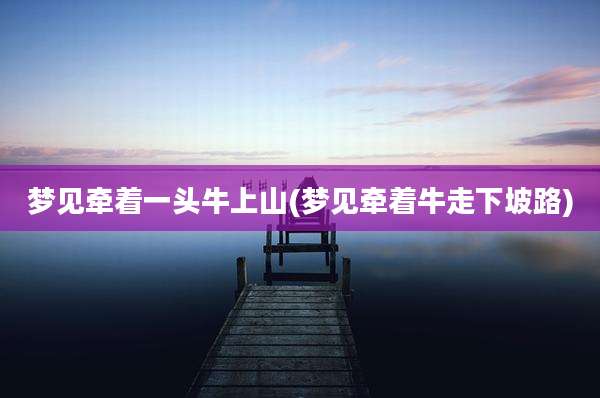 梦见牵着一头牛上山(梦见牵着牛走下坡路)