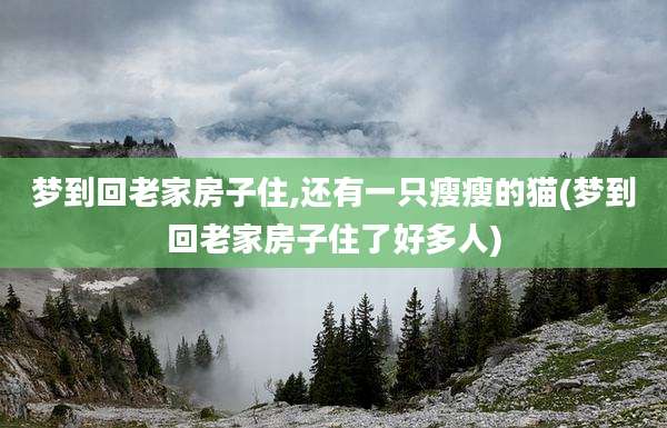梦到回老家房子住,还有一只瘦瘦的猫(梦到回老家房子住了好多人)