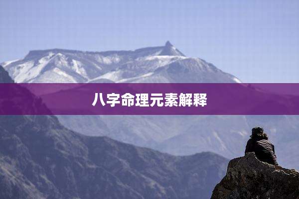 八字命理元素解释