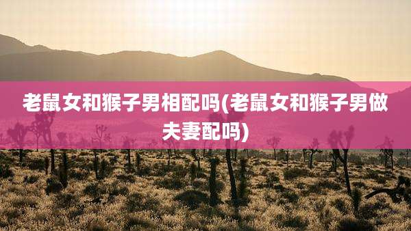 老鼠女和猴子男相配吗(老鼠女和猴子男做夫妻配吗)