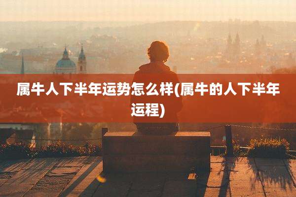 属牛人下半年运势怎么样(属牛的人下半年运程)