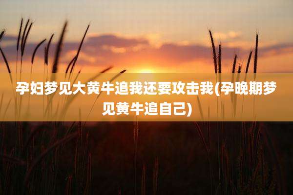 孕妇梦见大黄牛追我还要攻击我(孕晚期梦见黄牛追自己)