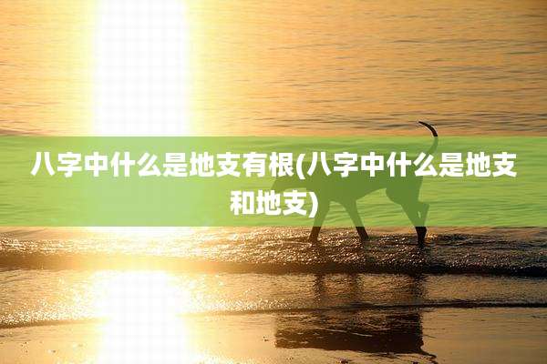 八字中什么是地支有根(八字中什么是地支和地支)