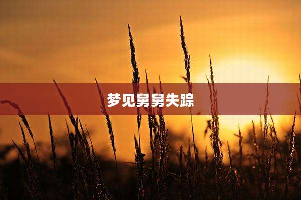 梦见舅舅失踪
