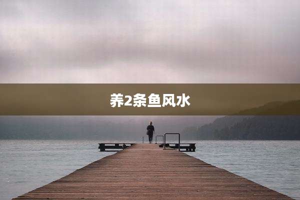 养2条鱼风水