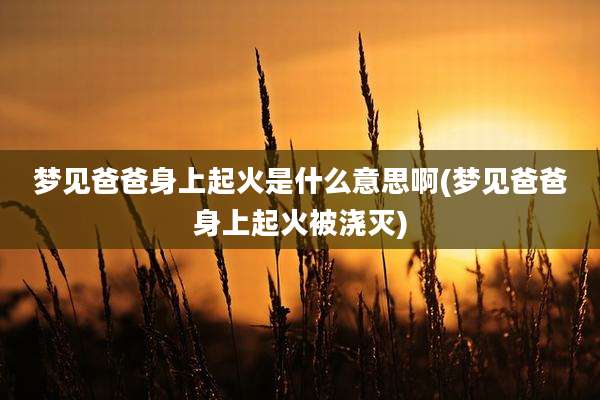 梦见爸爸身上起火是什么意思啊(梦见爸爸身上起火被浇灭)