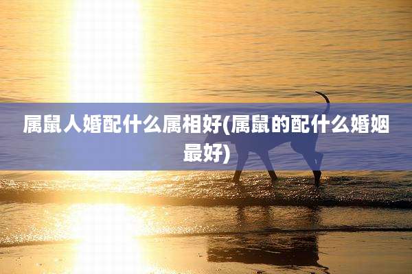 属鼠人婚配什么属相好(属鼠的配什么婚姻最好)